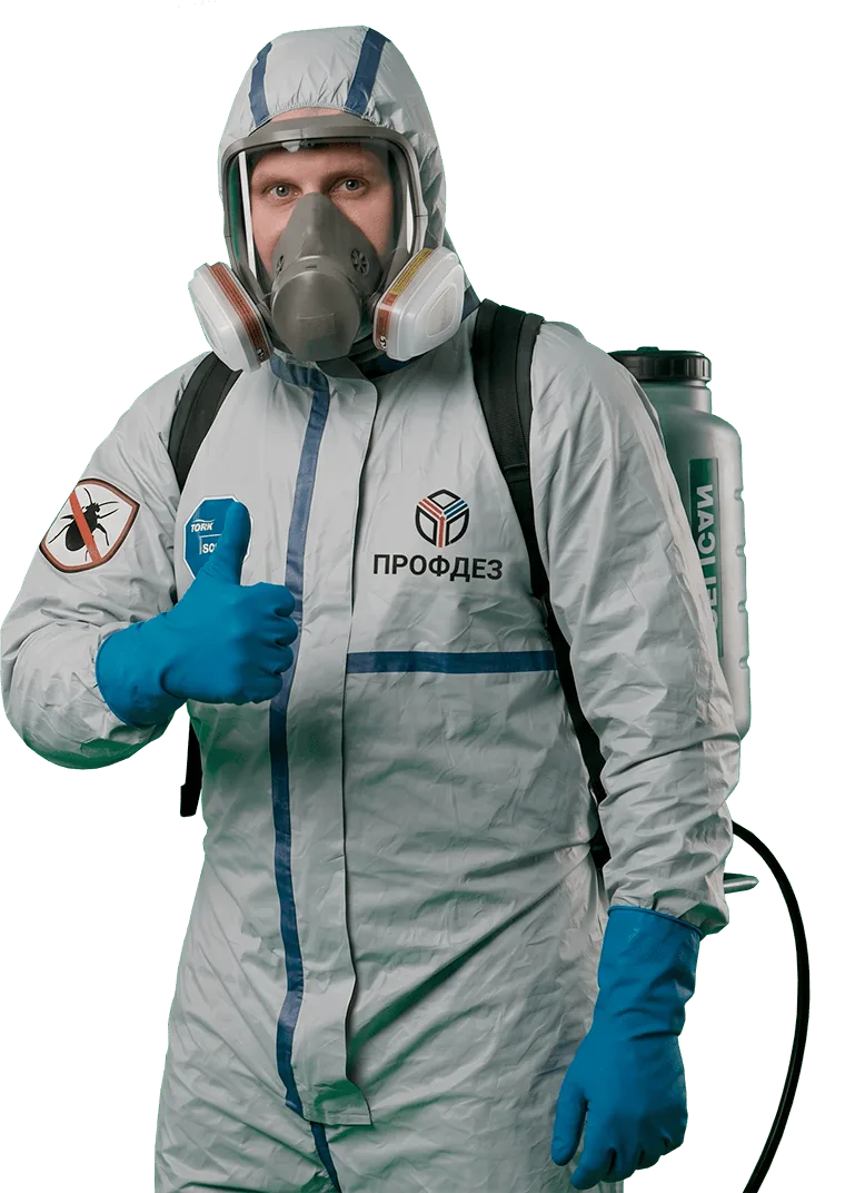 profdez-hero.webp